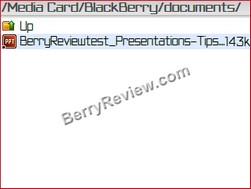 Berryreview0s45betaword[17]